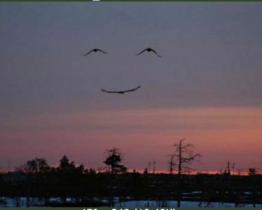 sky.jpg