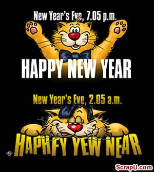 new year cat.jpg