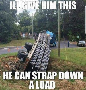 funny_picdump_640_high_44.jpg