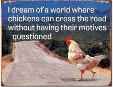 ev chicken.jpg