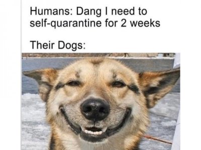 quarantine-memes_1.jpg