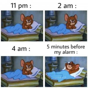 FB_IMG_1641196824379.jpg