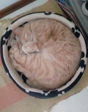 IMG_20220103_152550_kindlephoto-44954529.jpg