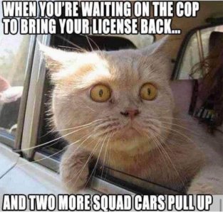 FB_IMG_1641187865381.jpg