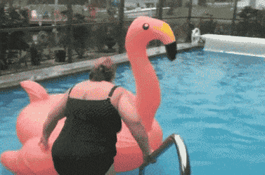 755465fe55bbf716d17604b41c71b5a4.gif