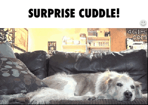 385B96D3-FBC1-4C87-BC19-46C0928B1C57.gif