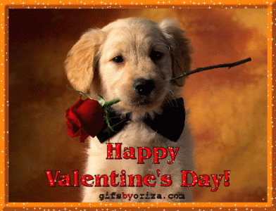 Valentine-puppy.gif