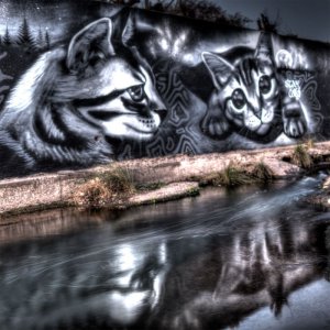 Cats-blog1400px-x-72dpi-street-art.DSC_2080_1_2_3_4_Creative.jpg