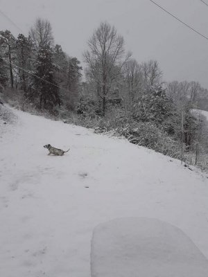 received_639584563749636.jpeg