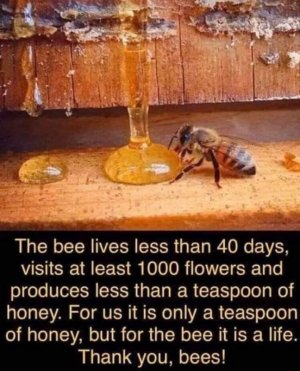 05A9FE5C-7D00-47DD-B58E-963F272E55F4.jpeg