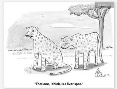 liver spot.jpg