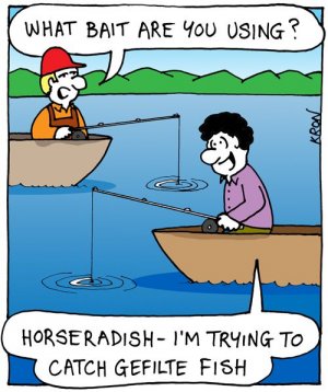 ae2415bdcc46e1f3d0a80fa5c121acd4--jewish-humor-jewish-food.jpg