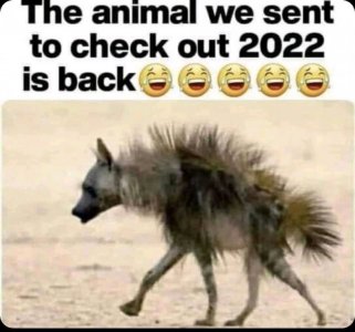 1641526297997.jpg