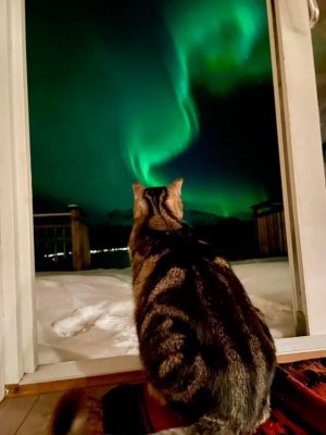 northern norway.jpg