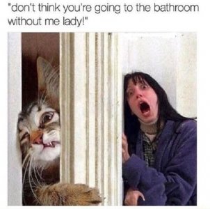 1641114252_whnxlo8d5k.jpg