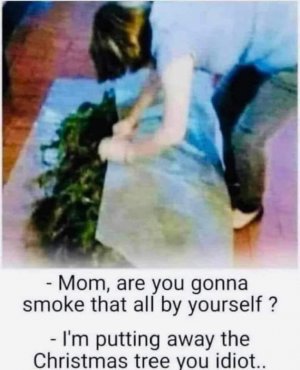 Christmas tree.jpg