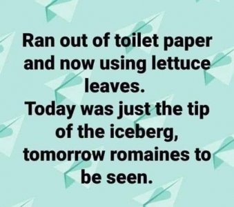 Toilet leaves.jpg