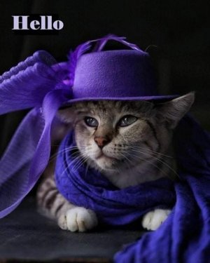 cattituse011022.jpg
