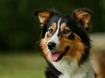 AdobeStock_165962928.jpg