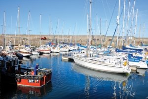 marina.jpg marina.jpg