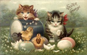 Kitties.jpg