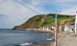 crovie.jpg crovie.jpg