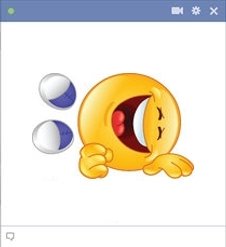 ROFL facebook emoticon.jpg