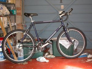 DSCN5370.jpg