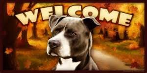 pitty welcome.jpg