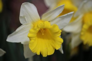 IMG_0780 copy.jpg