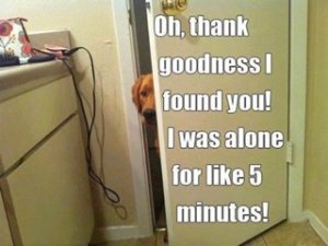 image.jpeg