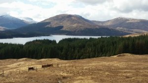 glencoe7.jpg