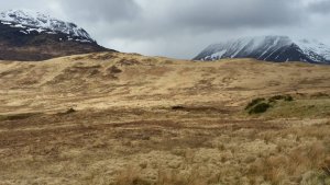 glencoe6.jpg