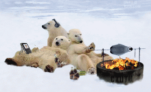 truecanadians.5.gif