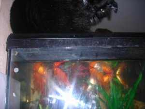 spring 022.jpg