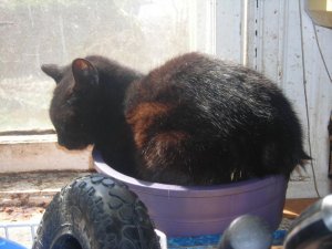 spring 019.jpg