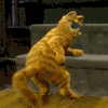 icon41.gif