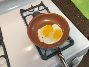 IMG_0126.jpg