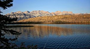 IMG_0230 (1).jpg