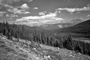 IMG_0602.jpg