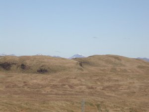 DSCN5478.jpg