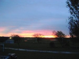 DSC05575.JPG
