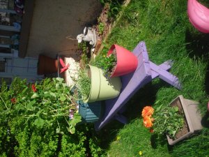 Spring yard 006.jpg