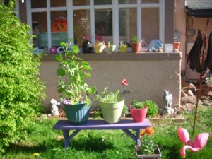 Spring yard 002.jpg