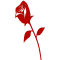 rose.gif