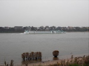 cologne1.jpg