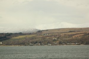 IMG_8706sm.jpg