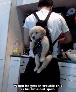 tumblr_naivck8Dd41qzcv7no1_500.jpg