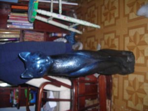 cat 001.jpg