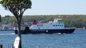 ferrybute.jpg